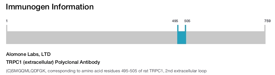 TRPC1 (extracellular) Polyclonal Antibody