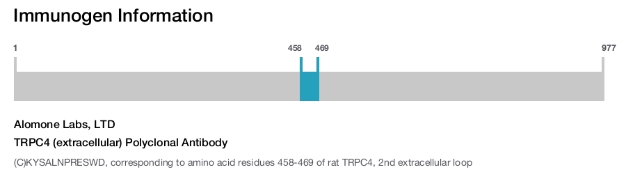 TRPC4 (extracellular) Polyclonal Antibody