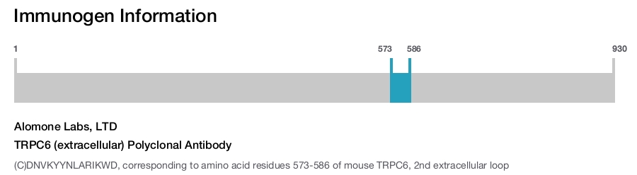TRPC6 (extracellular) Polyclonal Antibody