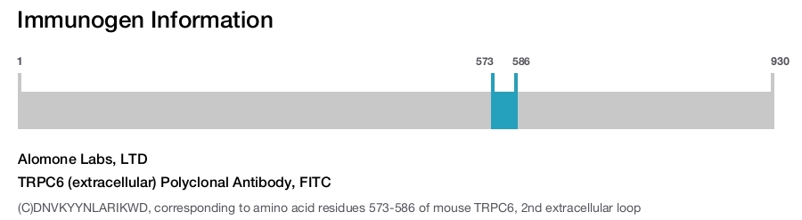 TRPC6 (extracellular) Polyclonal Antibody, FITC