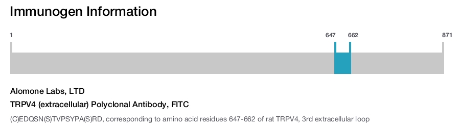 TRPV4 (extracellular) Polyclonal Antibody, FITC