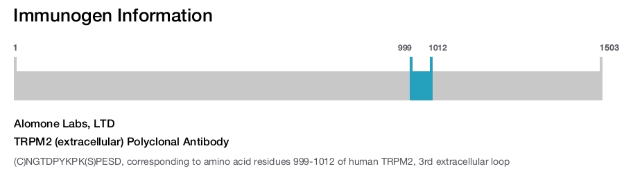 TRPM2 (extracellular) Polyclonal Antibody
