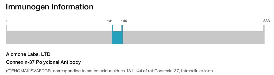 Connexin-37 Polyclonal Antibody
