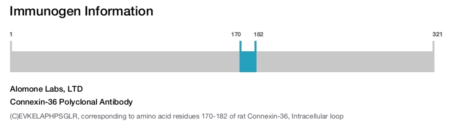 Connexin-36 Polyclonal Antibody