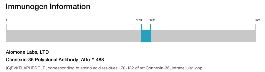 Connexin-36 Polyclonal Antibody, Atto™ 488