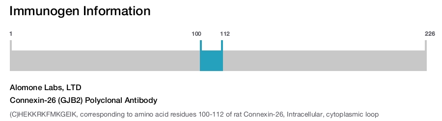 Connexin-26 (GJB2) Polyclonal Antibody