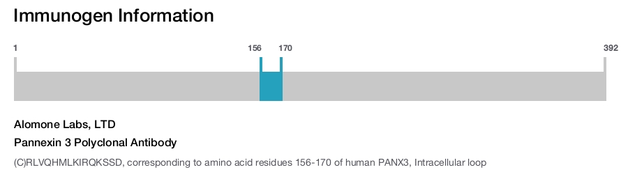 Pannexin 3 Polyclonal Antibody