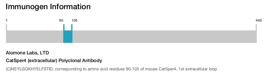 CatSper4 (extracellular) Polyclonal Antibody