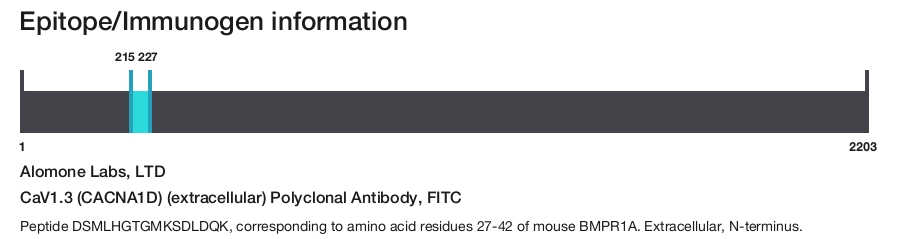 CaV1.3 (CACNA1D) (extracellular) Polyclonal Antibody, FITC