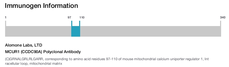 MCUR1 (CCDC90A) Polyclonal Antibody