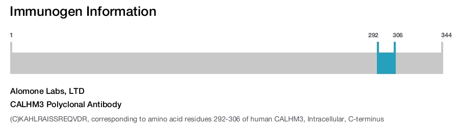 CALHM3 Polyclonal Antibody