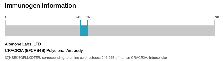 CRACR2A (EFCAB4B) Polyclonal Antibody