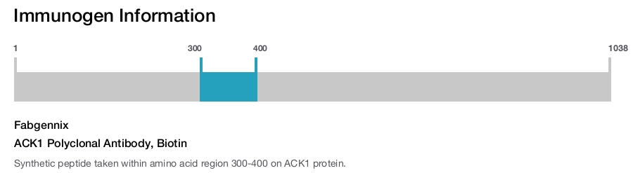 ACK1 Polyclonal Antibody, Biotin