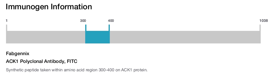 ACK1 Polyclonal Antibody, FITC