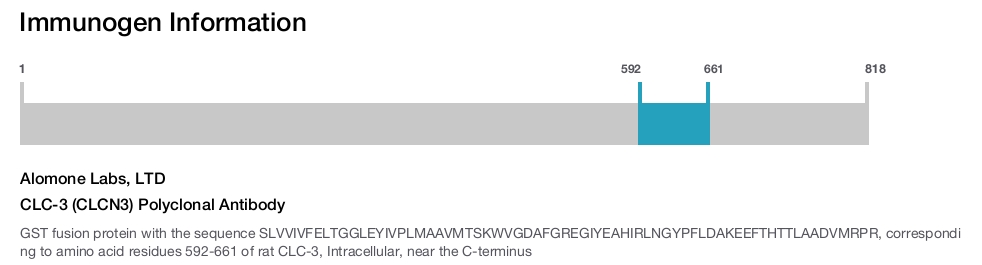 CLC-3 (CLCN3) Polyclonal Antibody