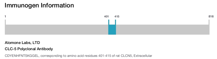 CLC-5 Polyclonal Antibody