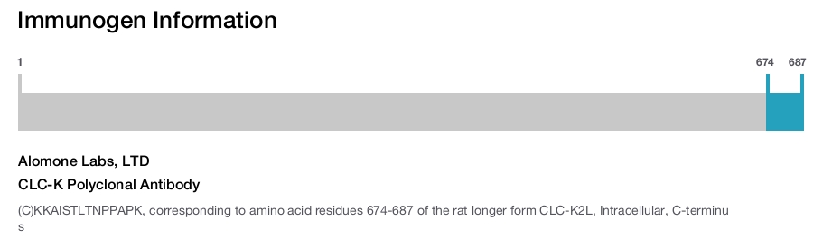 CLC-K Polyclonal Antibody