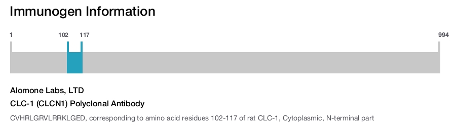 CLC-1 (CLCN1) Polyclonal Antibody