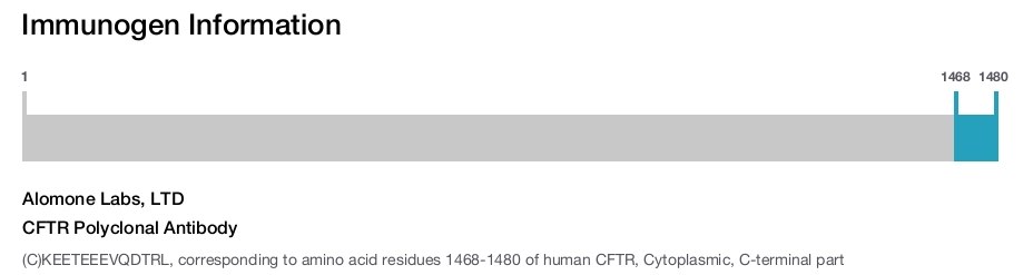 CFTR Polyclonal Antibody
