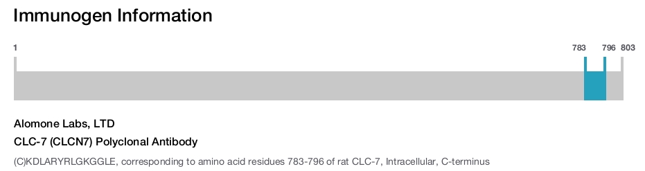 CLC-7 (CLCN7) Polyclonal Antibody