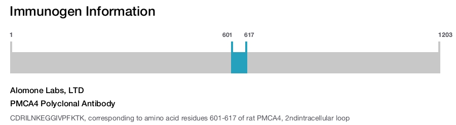 PMCA4 Polyclonal Antibody