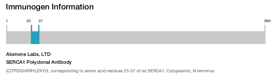 SERCA1 Polyclonal Antibody