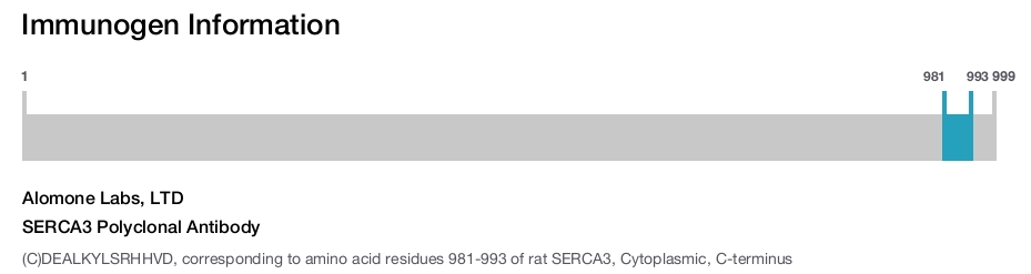 SERCA3 Polyclonal Antibody