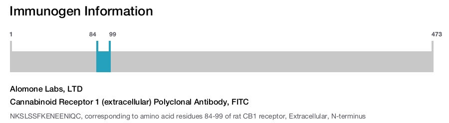 Cannabinoid Receptor 1 (extracellular) Polyclonal Antibody, FITC
