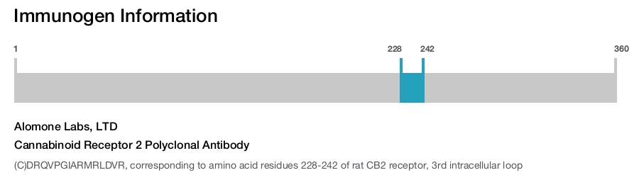 Cannabinoid Receptor 2 Polyclonal Antibody