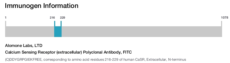 Calcium Sensing Receptor (extracellular) Polyclonal Antibody, FITC