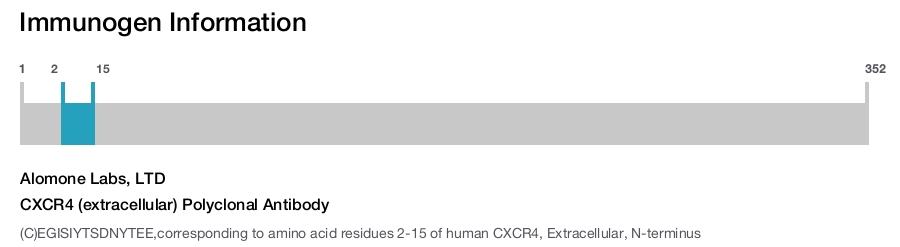 CXCR4 (extracellular) Polyclonal Antibody
