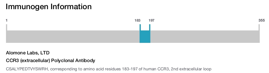 CCR3 (extracellular) Polyclonal Antibody
