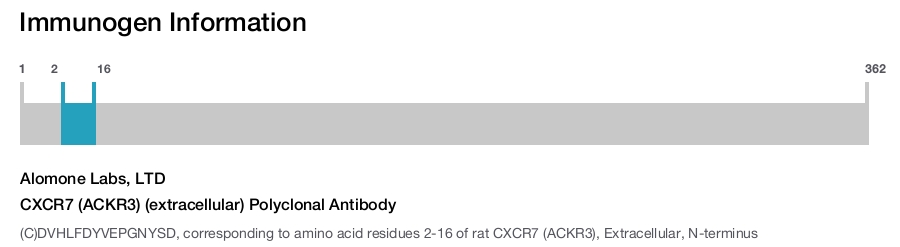 CXCR7 (ACKR3) (extracellular) Polyclonal Antibody
