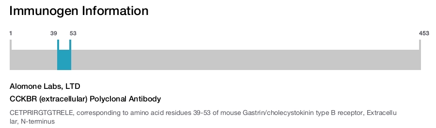 CCKBR (extracellular) Polyclonal Antibody