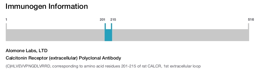 Calcitonin Receptor (extracellular) Polyclonal Antibody