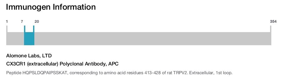CX3CR1 (extracellular) Polyclonal Antibody, APC