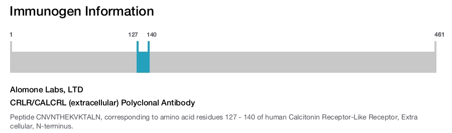 CRLR/CALCRL (extracellular) Polyclonal Antibody