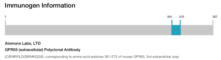 GPR55 (extracellular) Polyclonal Antibody