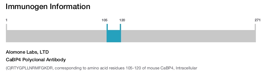 CaBP4 Polyclonal Antibody