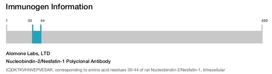 Nucleobindin-2/Nesfatin-1 Polyclonal Antibody