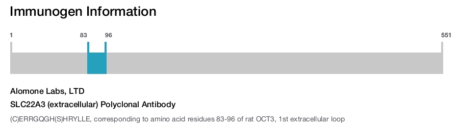 SLC22A3 (extracellular) Polyclonal Antibody