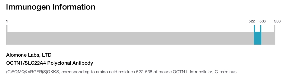 OCTN1/SLC22A4 Polyclonal Antibody