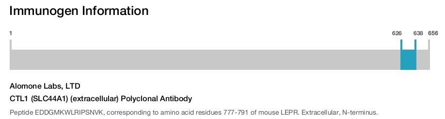 CTL1 (SLC44A1) (extracellular) Polyclonal Antibody