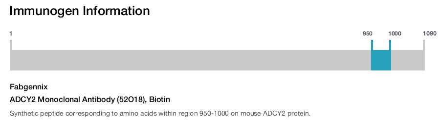 ADCY2 Monoclonal Antibody (52O18), Biotin