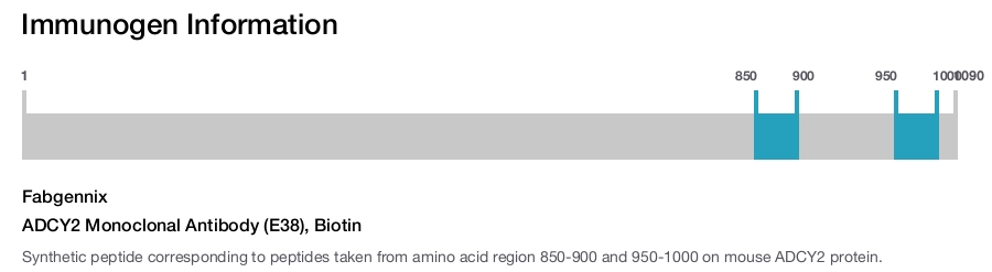 ADCY2 Monoclonal Antibody (E38), Biotin