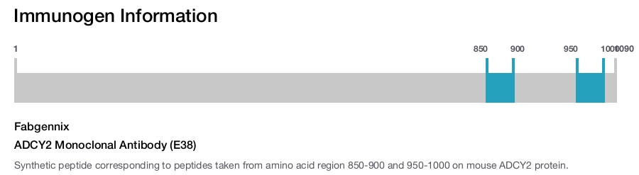 ADCY2 Monoclonal Antibody (E38)