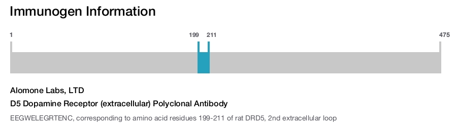 D5 Dopamine Receptor (extracellular) Polyclonal Antibody