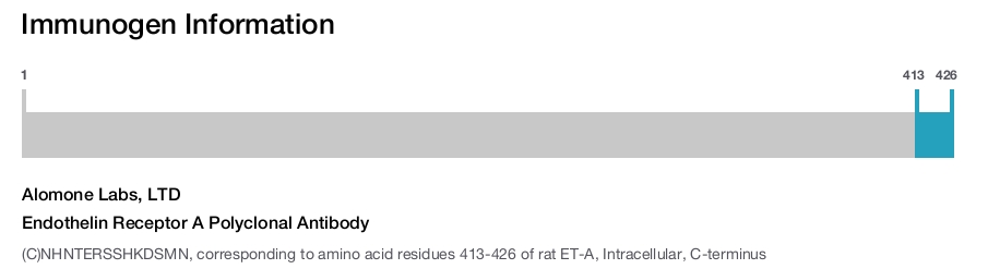 Endothelin Receptor A Polyclonal Antibody