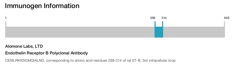 Endothelin Receptor B Polyclonal Antibody