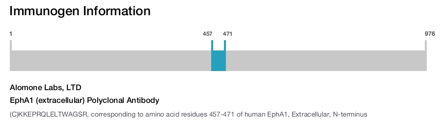 EphA1 (extracellular) Polyclonal Antibody